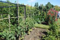 Garten Grey Gables