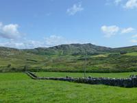 Sheeps Head