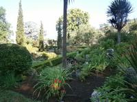 Gärten Madeiras - Anwesen Familie Blandy