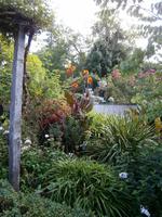 Gärten Madeiras - Anwesen Familie Blandy