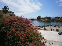 Fischerdorf Camara de Lobos