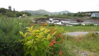 Sneem