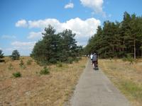 Kurische Nehrung