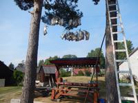 Fische werden getrocknet