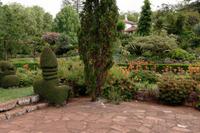 Palheiro Garden