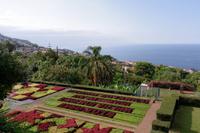 Botanischer Garten in Funchal