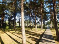 Unser Weg vom Hotel zum Strand