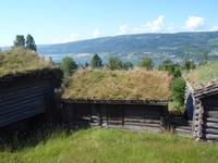 Grassodendächer in Maihaugen
