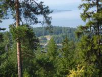 Blick auf Utöya im Tyrisfjord