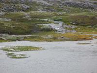 Auf dem Djuppvaspass