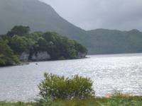 Muckross