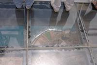 Glasplattform an der Cabo Girao