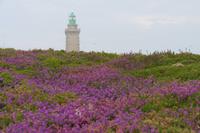 212.Cap Fréhel