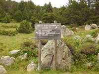 Rechts geht's lang..