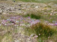 Sorteny-Naturpark