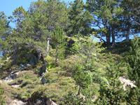 Naturgarten // Vall de Sorteny