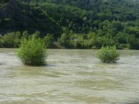 Der Rhein bei Hochwasser