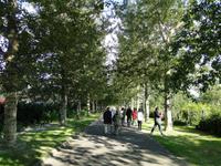 Botanischer Garten in Reykjavik