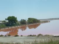 Salinen Camargue 