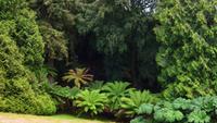 207 Cornwall, Trebah Garden