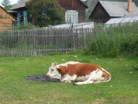 Bolschi Koty am Bajkalsee