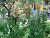 Bolschi Koty, in der Datscha von Tatjana