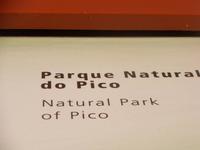 Azoren August 2014 526