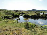 Nationalpark Thingvellir