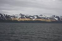 Walwatching in Asbyrgi