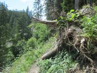 Der Rückweg zur Oeschinenbahn