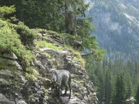 Der Rückweg zur Oeschinenbahn