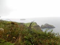 Landschaft und Meer in Irlands Norden