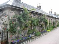 Luss