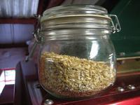 Grundprodukt für die Herstellung von schottischem Whisky