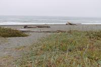 An der Pazifikküste