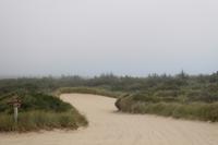 Dune Buggy Tour