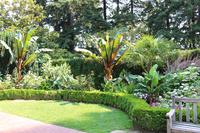 Rosengarten - Portland