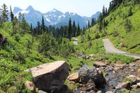 Mount Rainier National Park