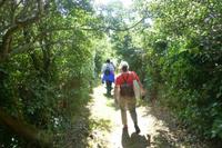 Sark - Wanderung zu Little Sark