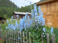 Bahnfahrt am Bajkalsee, Station Polovinnaja