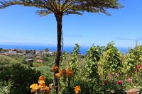 Ausblick in Santana
