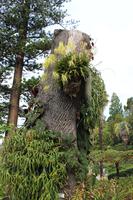 Botanischer Garten - Funchal