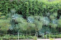 Botanischer Garten - Funchal