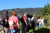 Wanderung entlang der Levada von Marocos