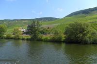 SAM_0896
