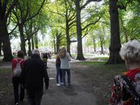 Green Park in London