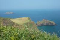 Blick zur Hangebrücke an der Causeway Coast