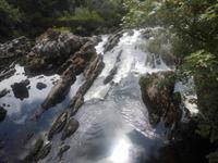 Wasserfall in Sneem
