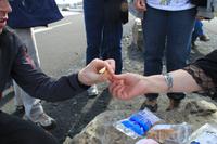 Island - Dettifoss - Trockenfisch Kostprobe