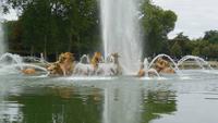 Versailles